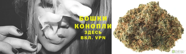ECSTASY Гусев