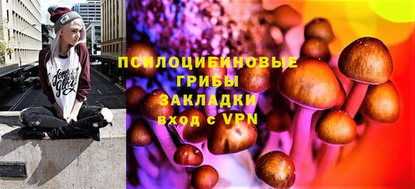 марихуана Гусиноозёрск