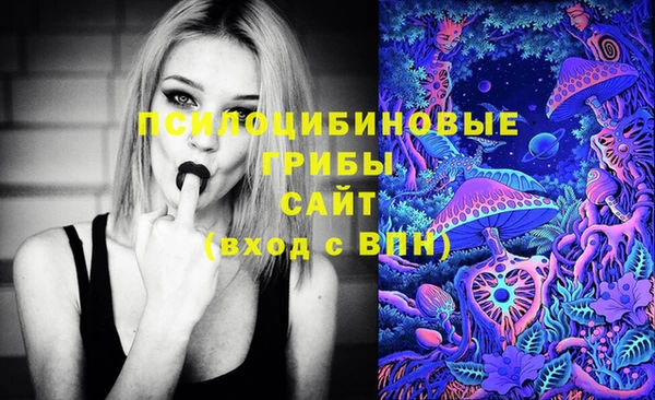 гидра Осинники