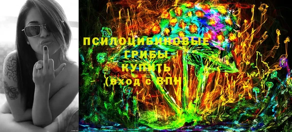 ECSTASY Гусев