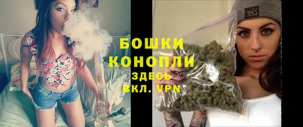молекула духа Пересвет