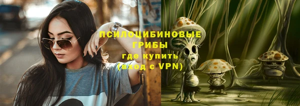 MESCALINE Гусь-Хрустальный