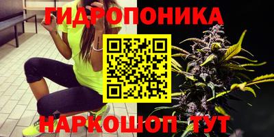 соль ск Краснодар