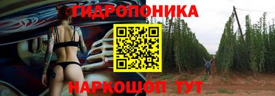 индика Краснознаменск