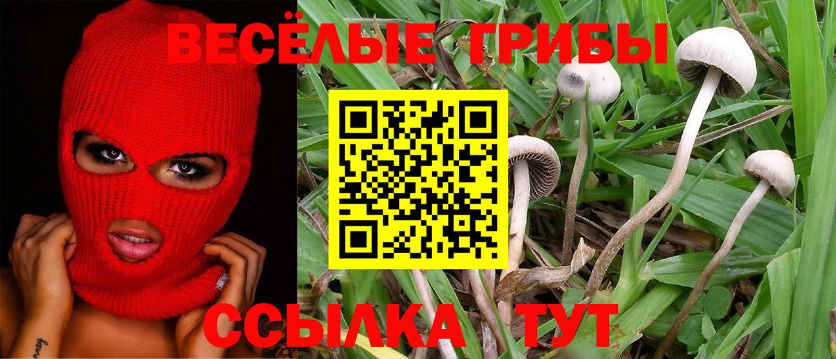 Галлюциногенные грибы прущие грибы  Вход с VPN  Псилоцибиновые грибы прущие грибы  купить   Сегежа 